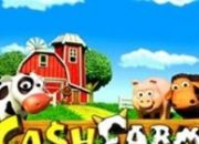 Cash Farm