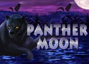 Moon Panther